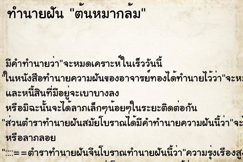ทำนายฝัน ต้นหมากล้ม ทำนายฝัน ต้นหมากล้ม