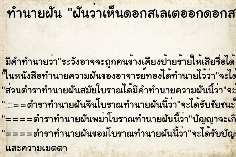 ทำนายฝัน ฝันว่าเห็นดอกสเลเตออกดอกสวย ทำนายฝัน ฝันว่าเห็นดอกสเลเตออกดอกสวย