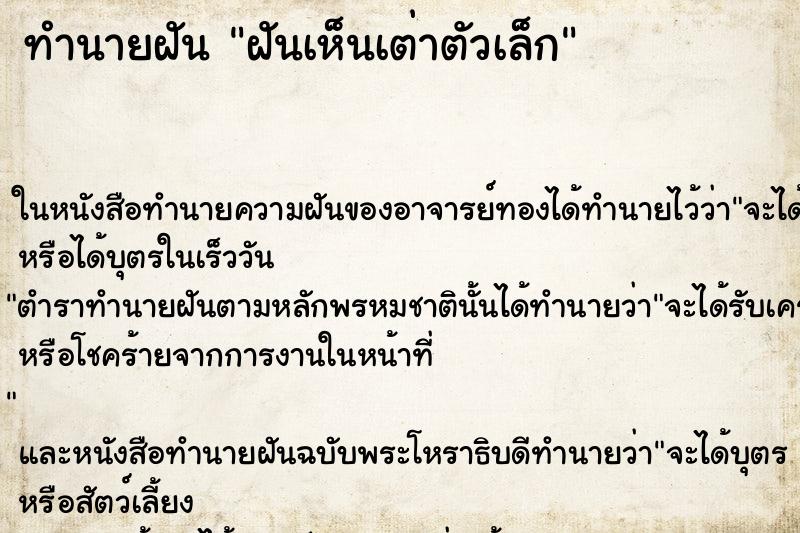 ทำนายฝันทำนายฝันฝันเห็นเต่าตัวเล็ก
