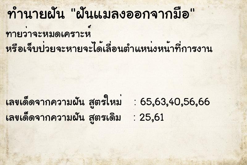 ทำนายฝันฝันแมลงออกจากมือ ทำนายฝันทำนายฝันฝันแมลงออกจากมือ