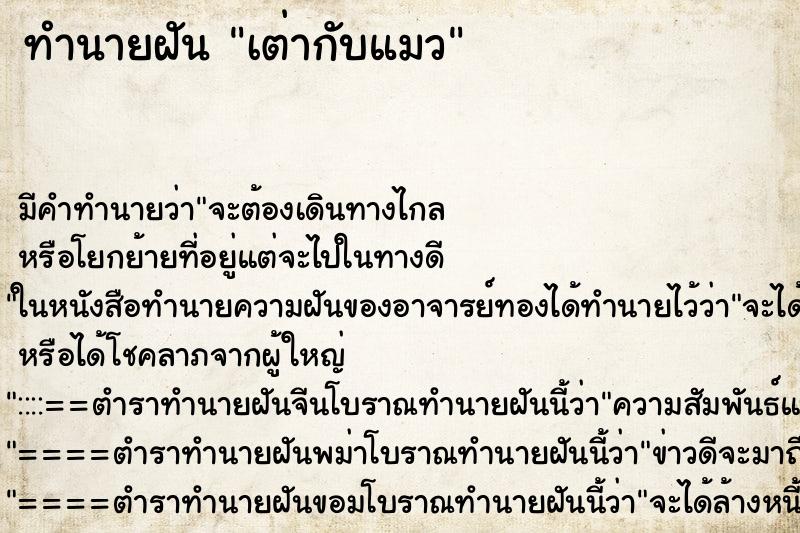 ทำนายฝัน เต่ากับแมว ทำนายฝัน เต่ากับแมว
