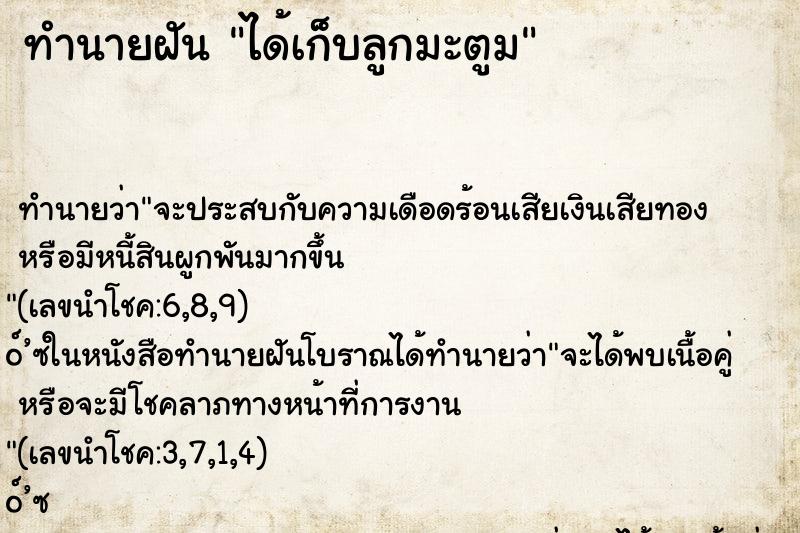 ทำนายฝัน ได้เก็บลูกมะตูม ทำนายฝัน ได้เก็บลูกมะตูม