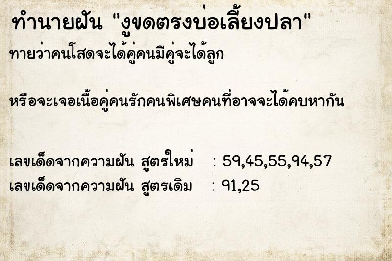 ทำนายฝันงูขดตรงบ่อเลี้ยงปลา ทำนายฝันทำนายฝันงูขดตรงบ่อเลี้ยงปลา