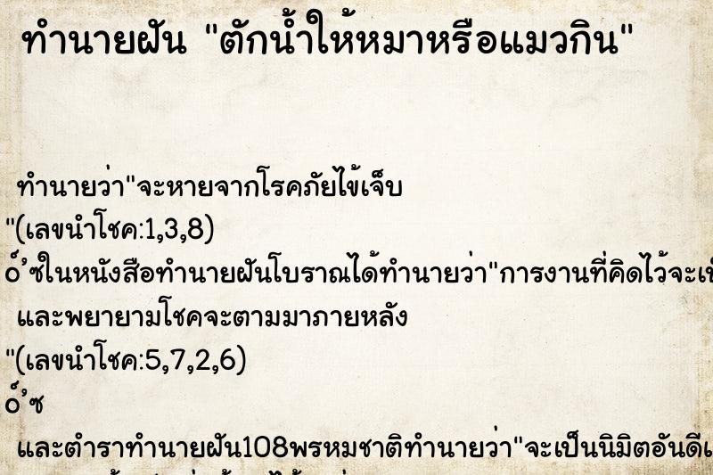 ทำนายฝันตักน้ำให้หมาหรือแมวกิน ทำนายฝันทำนายฝันตักน้ำให้หมาหรือแมวกิน