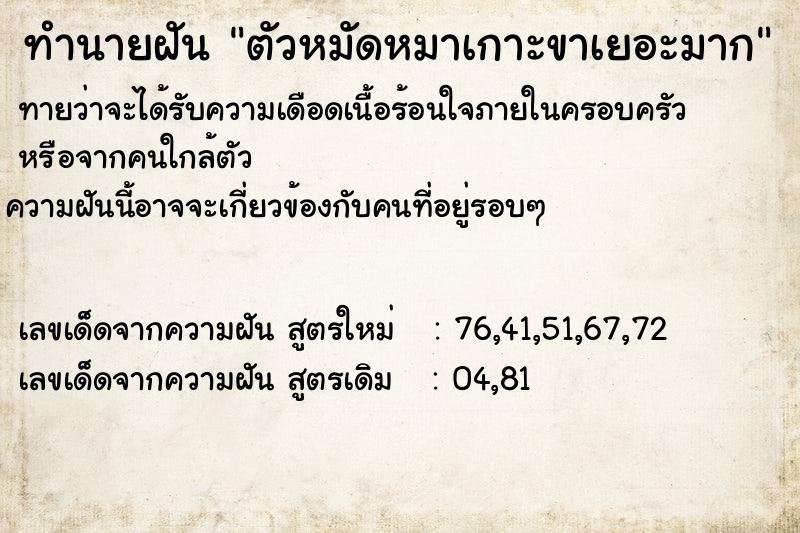 ทำนายฝันทำนายฝันตัวหมัดหมาเกาะขาเยอะมาก
