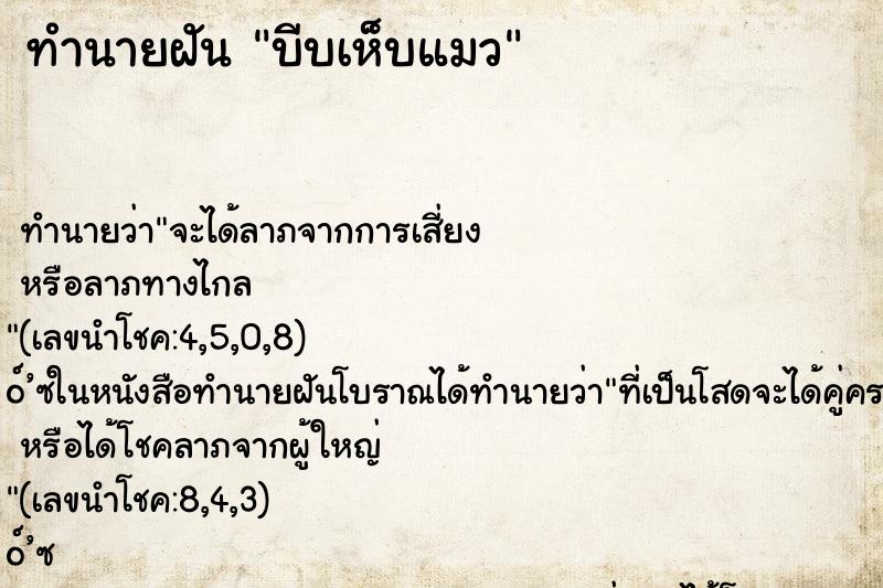 ทำนายฝันบีบเห็บแมว ทำนายฝันทำนายฝันบีบเห็บแมว