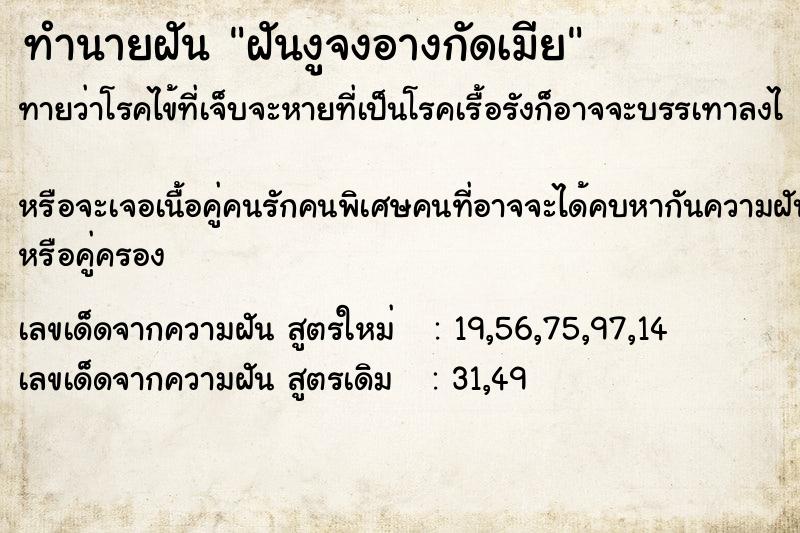 ทำนายฝันทำนายฝันฝันงูจงอางกัดเมีย