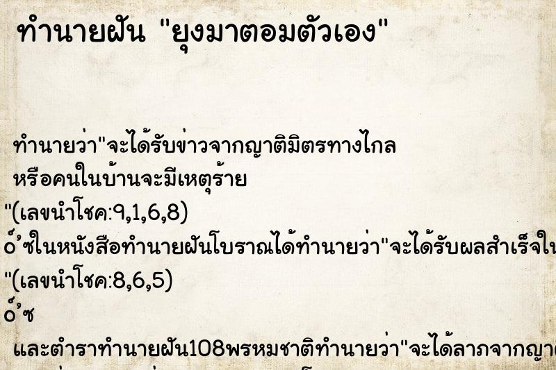 ทำนายฝัน ยุงมาตอมตัวเอง ทำนายฝัน ยุงมาตอมตัวเอง