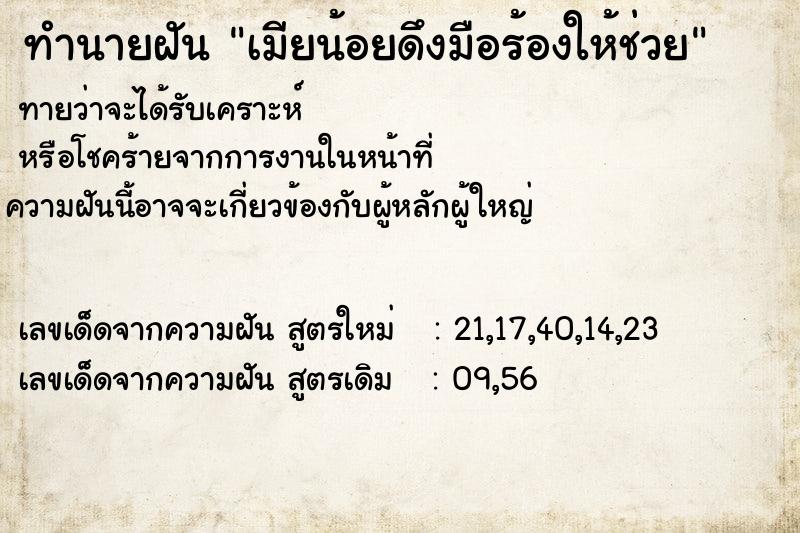 ทำนายฝันเมียน้อยดึงมือร้องให้ช่วย ทำนายฝันทำนายฝันเมียน้อยดึงมือร้องให้ช่วย