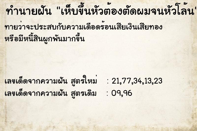 ทำนายฝัน เห็บขึ้นหัวต้องตัดผมจนหัวโล้น ทำนายฝัน เห็บขึ้นหัวต้องตัดผมจนหัวโล้น
