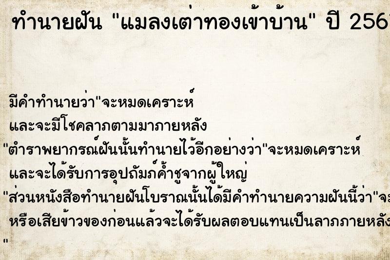 ทำนายฝันทำนายฝันแมลงเต่าทองเข้าบ้าน