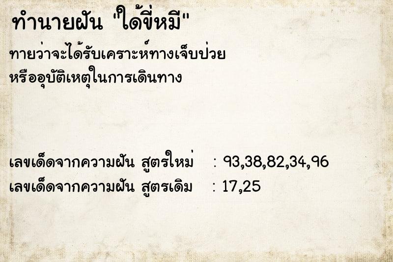 ทำนายฝันทำนายฝันใด้ขี่หมี