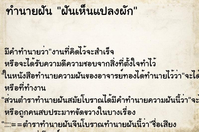 ทำนายฝัน ฝันเห็นแปลงผัก ทำนายฝัน ฝันเห็นแปลงผัก