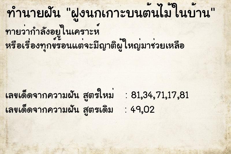 ทำนายฝันทำนายฝันฝูงนกเกาะบนต้นไม้ในบ้าน