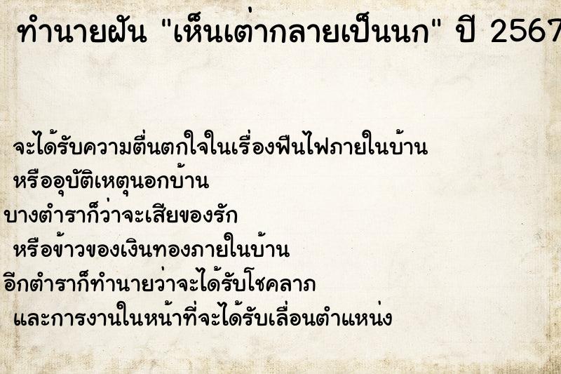 ทำนายฝันทำนายฝันเห็นเต่ากลายเป็นนก