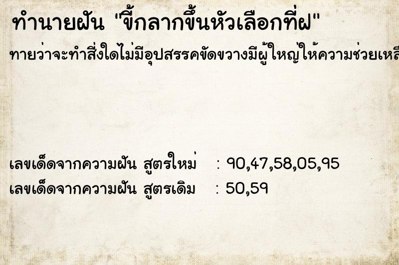 ทำนายฝันขี้กลากขึ้นหัวเลือกที่ฝ ทำนายฝันทำนายฝันขี้กลากขึ้นหัวเลือกที่ฝ