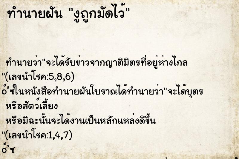 ทำนายฝัน งูถูกมัดไว้