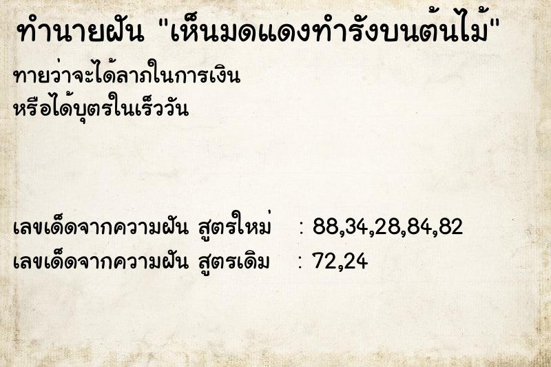 ทำนายฝันเห็นมดแดงทำรังบนต้นไม้ ทำนายฝันทำนายฝันเห็นมดแดงทำรังบนต้นไม้