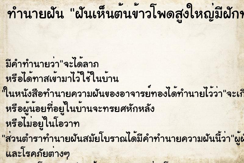 ทำนายฝัน ฝันเห็นต้นข้าวโพดสูงใหญ่มีฝักทั้งต้น ตำราโบราณ แม่นที่สุดในโลก