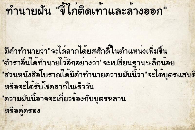 ทำนายฝัน ขี้ไก่ติดเท้าและล้างออก ทำนายฝัน ขี้ไก่ติดเท้าและล้างออก