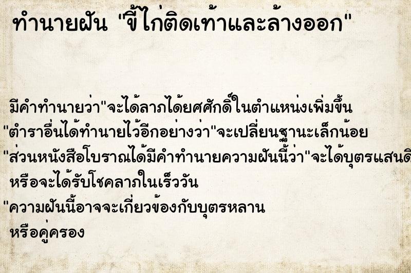 ทำนายฝัน ขี้ไก่ติดเท้าและล้างออก ตำราโบราณ แม่นที่สุดในโลก