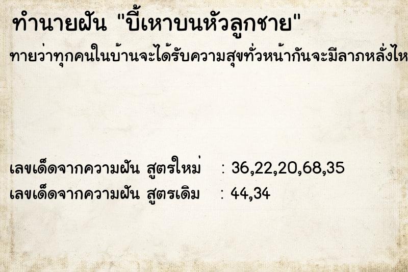 ทำนายฝันบี้เหาบนหัวลูกชาย ทำนายฝันทำนายฝันบี้เหาบนหัวลูกชาย