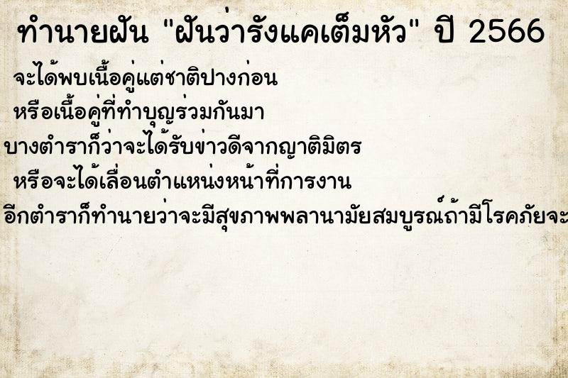 ทำนายฝัน ฝันว่ารังแคเต็มหัว ตำราโบราณ แม่นที่สุดในโลก