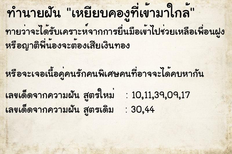 ทำนายฝันทำนายฝันเหยียบคองูที่เข้ามาใกล้