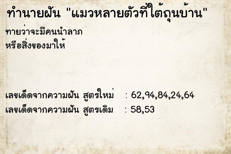 ทำนายฝัน แมวหลายตัวที่ใต้ถุนบ้าน ทำนายฝัน แมวหลายตัวที่ใต้ถุนบ้าน