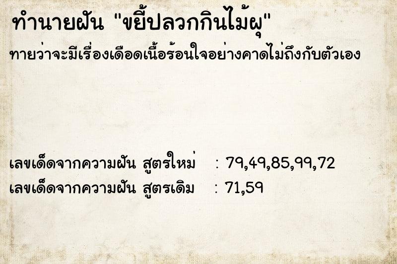 ทำนายฝันขยี้ปลวกกินไม้ผุ ทำนายฝันทำนายฝันขยี้ปลวกกินไม้ผุ