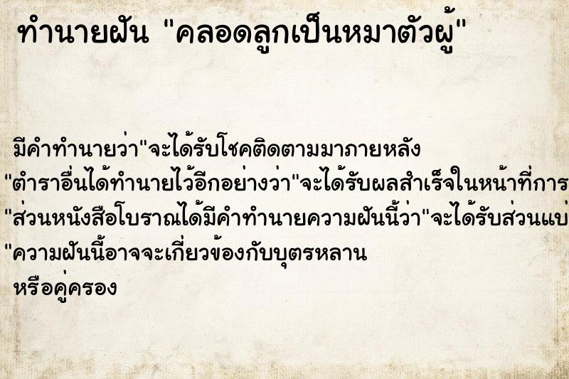 ทำนายฝันคลอดลูกเป็นหมาตัวผู้ ทำนายฝันทำนายฝันคลอดลูกเป็นหมาตัวผู้