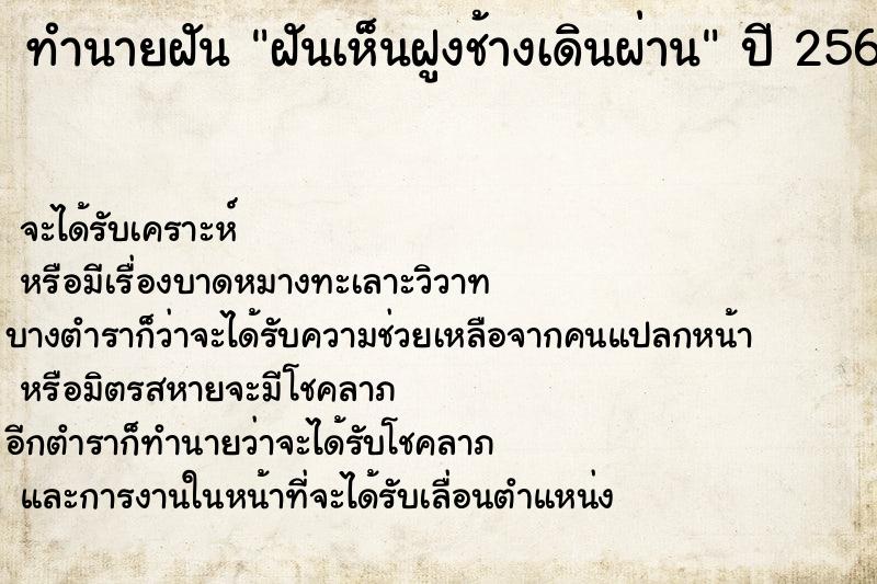 ทำนายฝันฝันเห็นฝูงช้างเดินผ่าน ทำนายฝันทำนายฝันฝันเห็นฝูงช้างเดินผ่าน