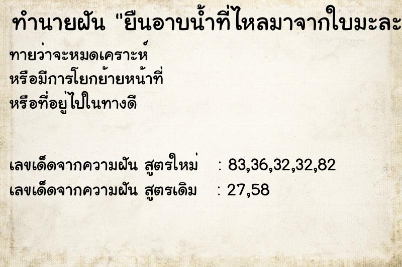 ทำนายฝันยืนอาบน้ำที่ไหลมาจากใบมะละกอ ทำนายฝันทำนายฝันยืนอาบน้ำที่ไหลมาจากใบมะละกอ