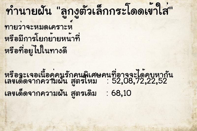 ทำนายฝันลูกงูตัวเล็กกระโดดเข้าใส่ ทำนายฝันทำนายฝันลูกงูตัวเล็กกระโดดเข้าใส่