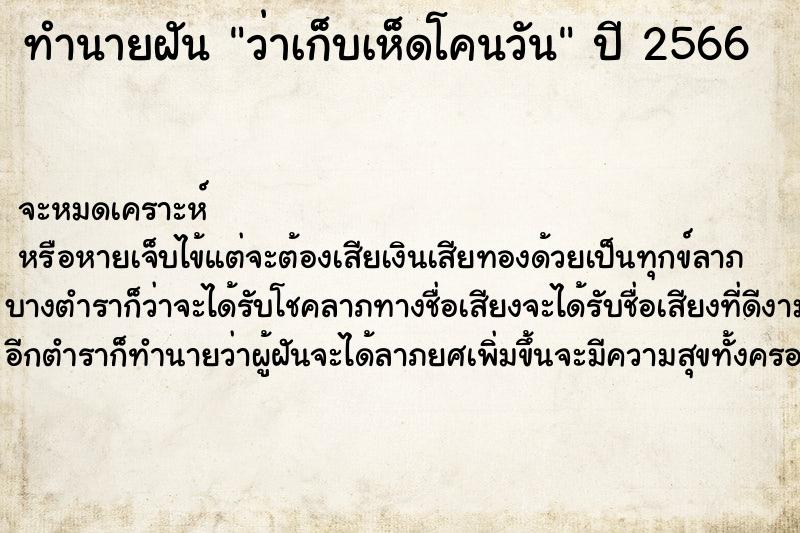 ทำนายฝันว่าเก็บเห็ดโคนวัน ทำนายฝันทำนายฝันว่าเก็บเห็ดโคนวัน