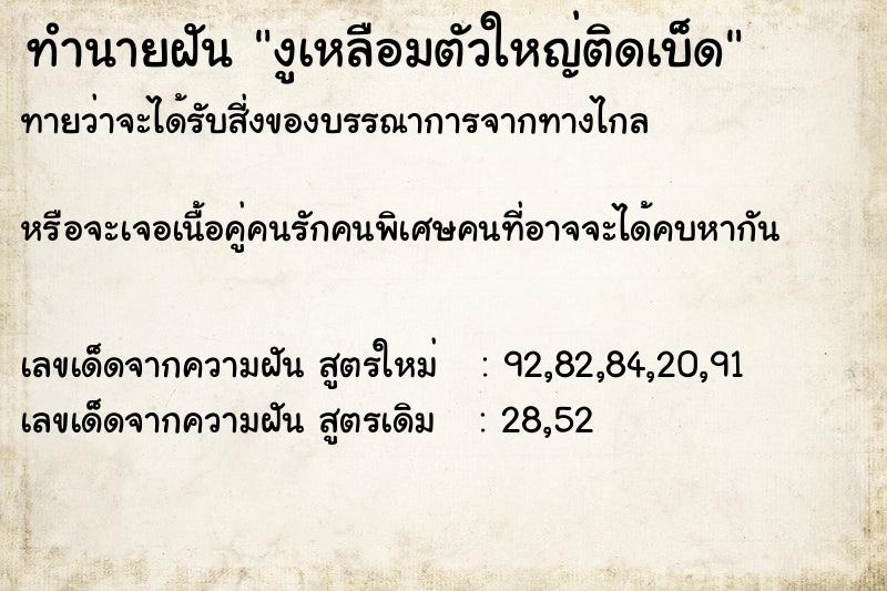 ทำนายฝันงูเหลือมตัวใหญ่ติดเบ็ด ทำนายฝันทำนายฝันงูเหลือมตัวใหญ่ติดเบ็ด