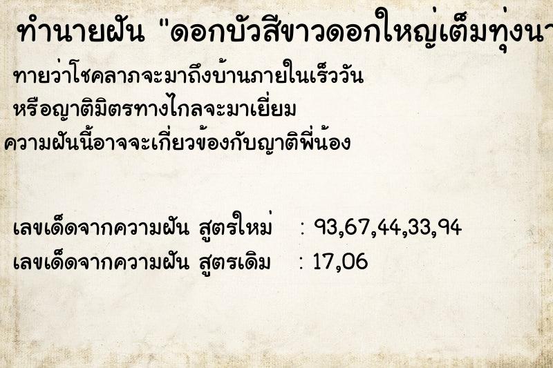ทำนายฝันดอกบัวสีขาวดอกใหญ่เต็มทุ่งนา ทำนายฝันทำนายฝันดอกบัวสีขาวดอกใหญ่เต็มทุ่งนา