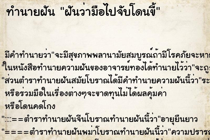 ทำนายฝัน ฝันว่ามือไปจับโดนขี้ ทำนายฝัน ฝันว่ามือไปจับโดนขี้