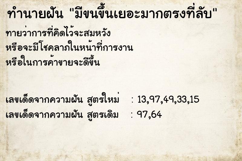 ทำนายฝันมีขนขึ้นเยอะมากตรงที่ลับ ทำนายฝันทำนายฝันมีขนขึ้นเยอะมากตรงที่ลับ