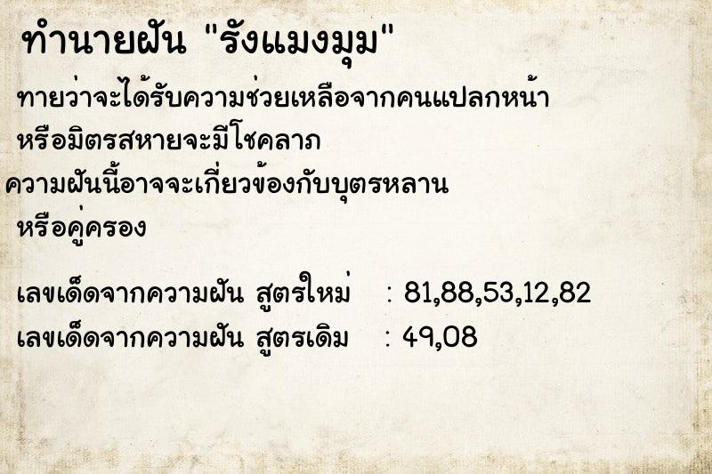 ทำนายฝัน รังแมงมุม ทำนายฝัน รังแมงมุม