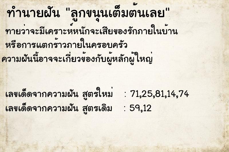 ทำนายฝัน ลูกขนุนเต็มต้นเลย ทำนายฝัน ลูกขนุนเต็มต้นเลย