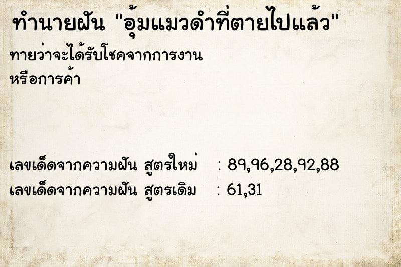 ทำนายฝันอุ้มแมวดำที่ตายไปแล้ว ทำนายฝันทำนายฝันอุ้มแมวดำที่ตายไปแล้ว