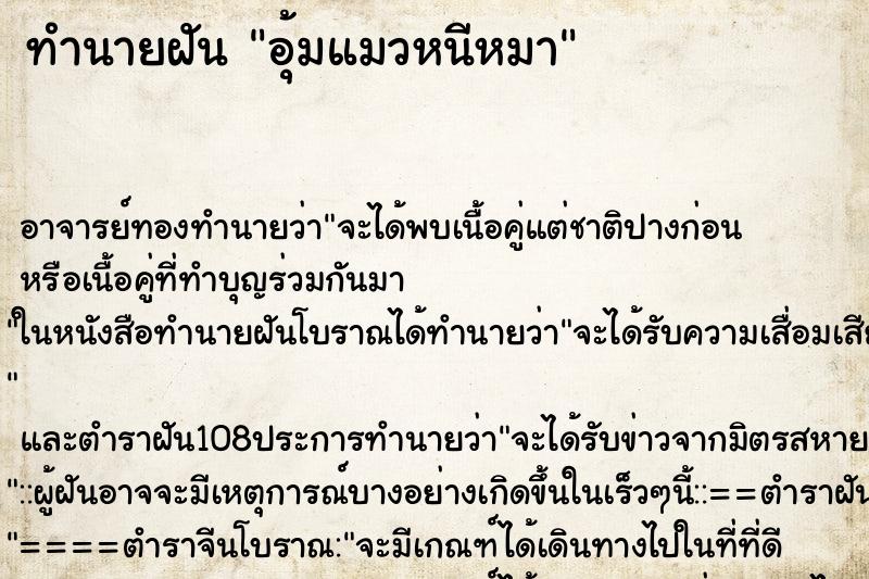ทำนายฝัน อุ้มแมวหนีหมา ทำนายฝัน อุ้มแมวหนีหมา