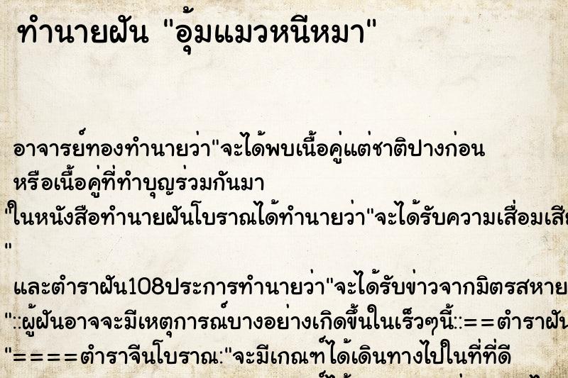 ทำนายฝัน อุ้มแมวหนีหมา ตำราโบราณ แม่นที่สุดในโลก