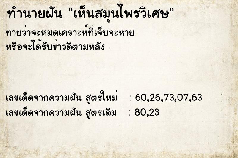 ทำนายฝันทำนายฝันเห็นสมุนไพรวิเศษ