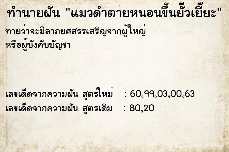 ทำนายฝันทำนายฝันแมวดำตายหนอนขึ้นยั๊วเยี๊ยะ