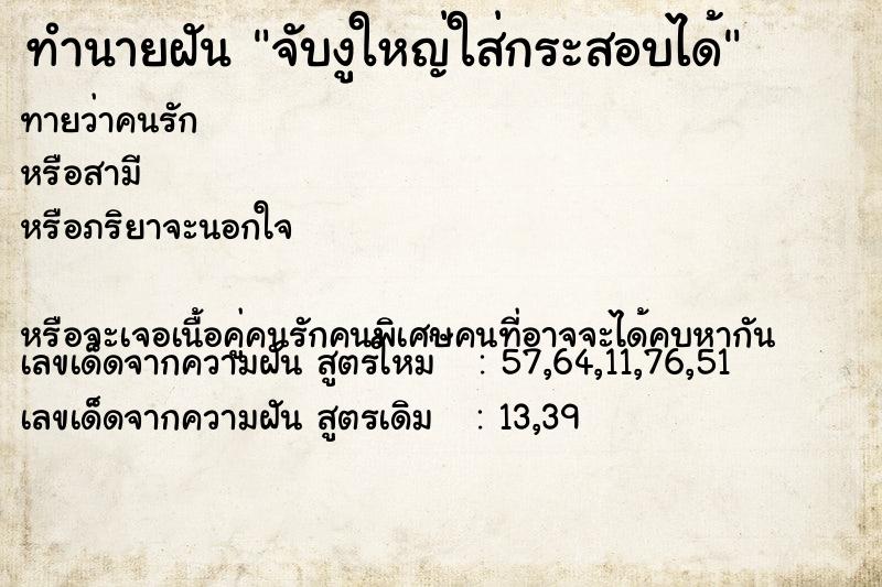 ทำนายฝันทำนายฝันจับงูใหญ่ใส่กระสอบได้