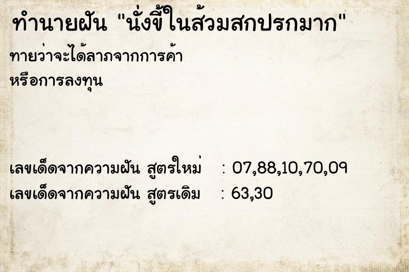 ทำนายฝันนั่งขี้ในส้วมสกปรกมาก ทำนายฝันทำนายฝันนั่งขี้ในส้วมสกปรกมาก