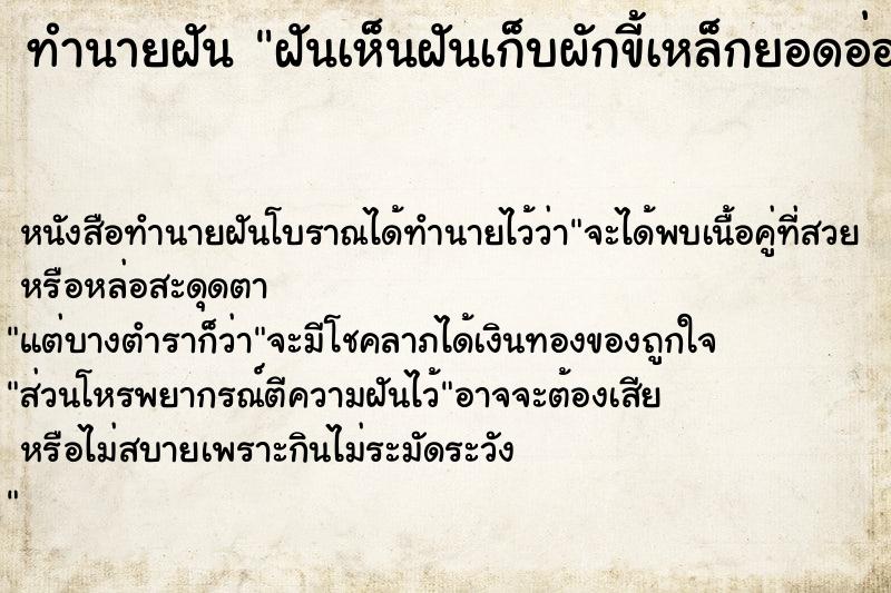 ทำนายฝัน ฝันเห็นฝันเก็บผักขี้เหล็กยอดอ่อนเยอะมาก ตำราโบราณ แม่นที่สุดในโลก