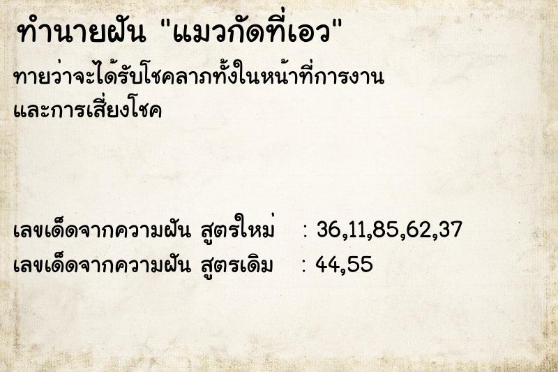 ทำนายฝัน แมวกัดที่เอว ตำราโบราณ แม่นที่สุดในโลก